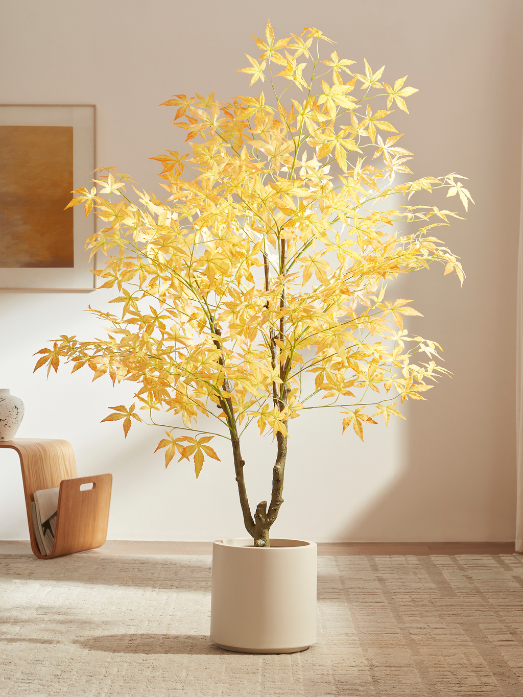 Warm Heritage Maple Tree for Offices with Fine Leaves