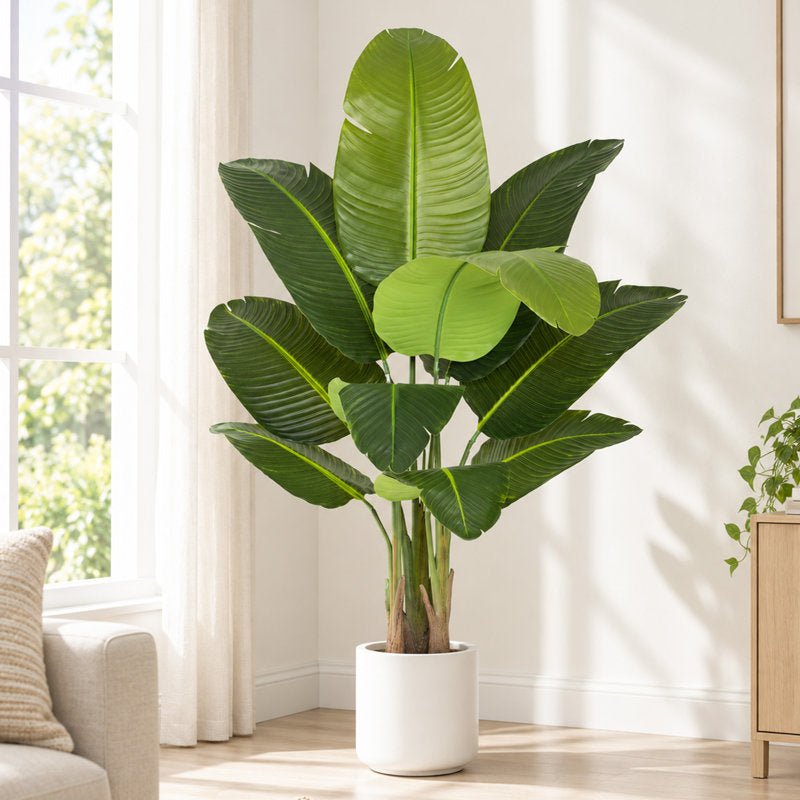 150cm Artificial Traveler's Palm in White Planter, 60 inch