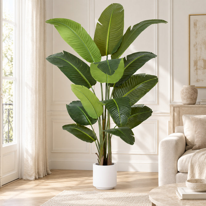 150cm Artificial Traveler's Palm in White Planter, 72 inch