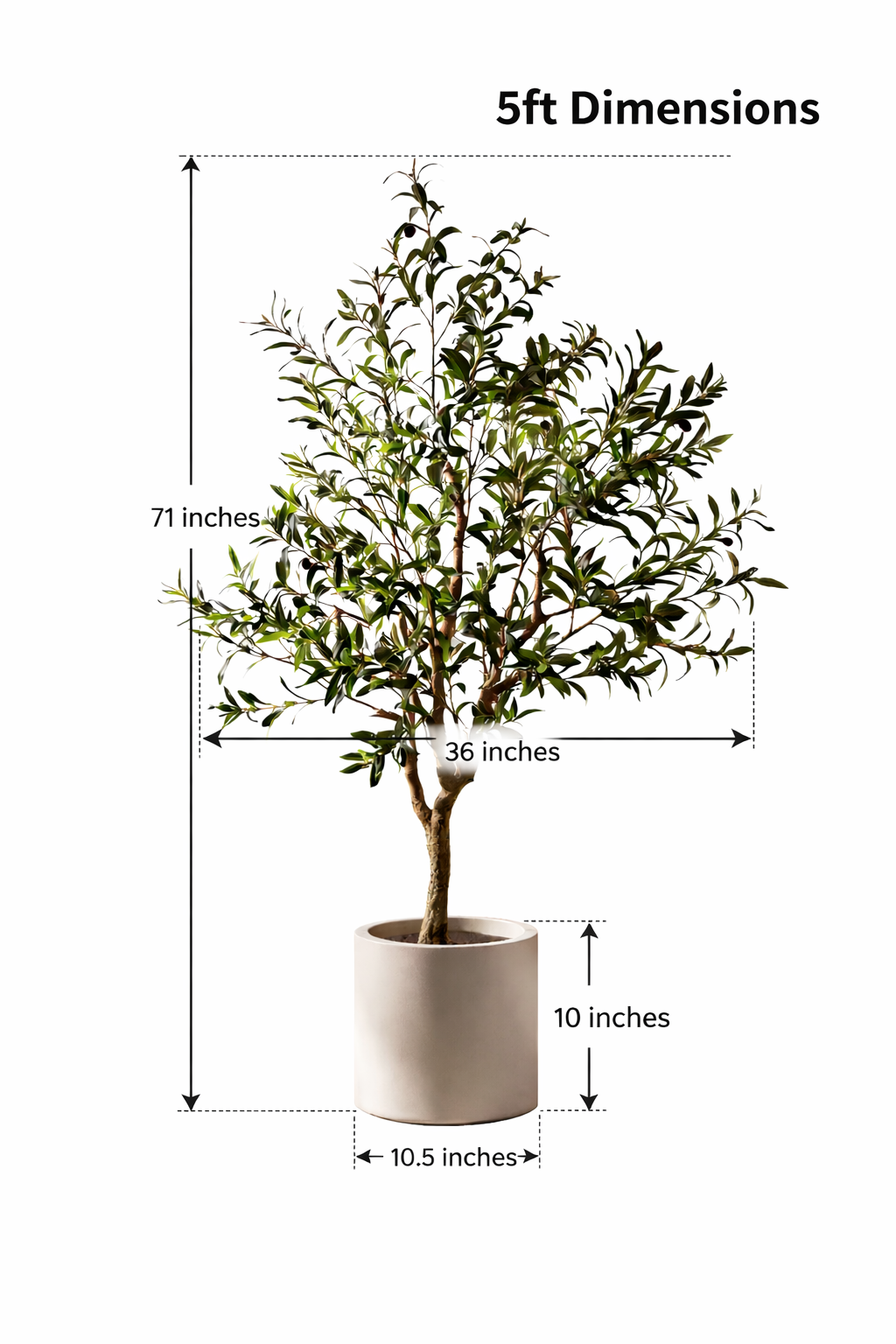 Ravellora Rustic Olive Tree
