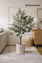 Ravellora Rustic Olive Tree