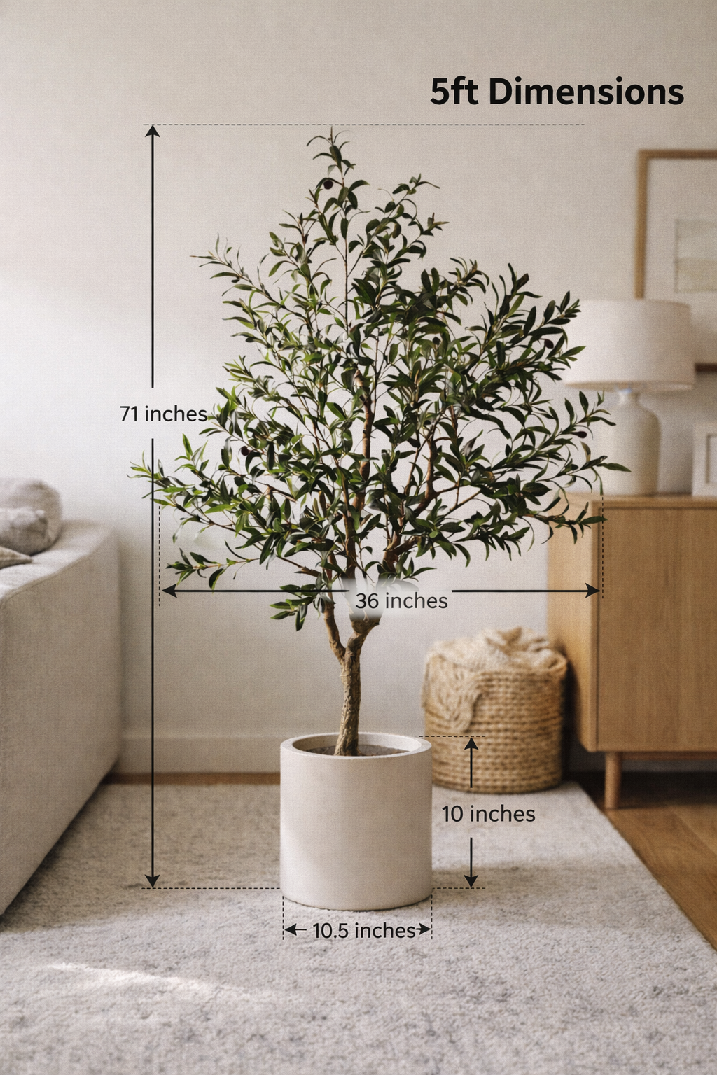 Ravellora Rustic Olive Tree