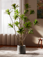 Chic Reflexa Tree for Modern Rooms with Arching Leaves
