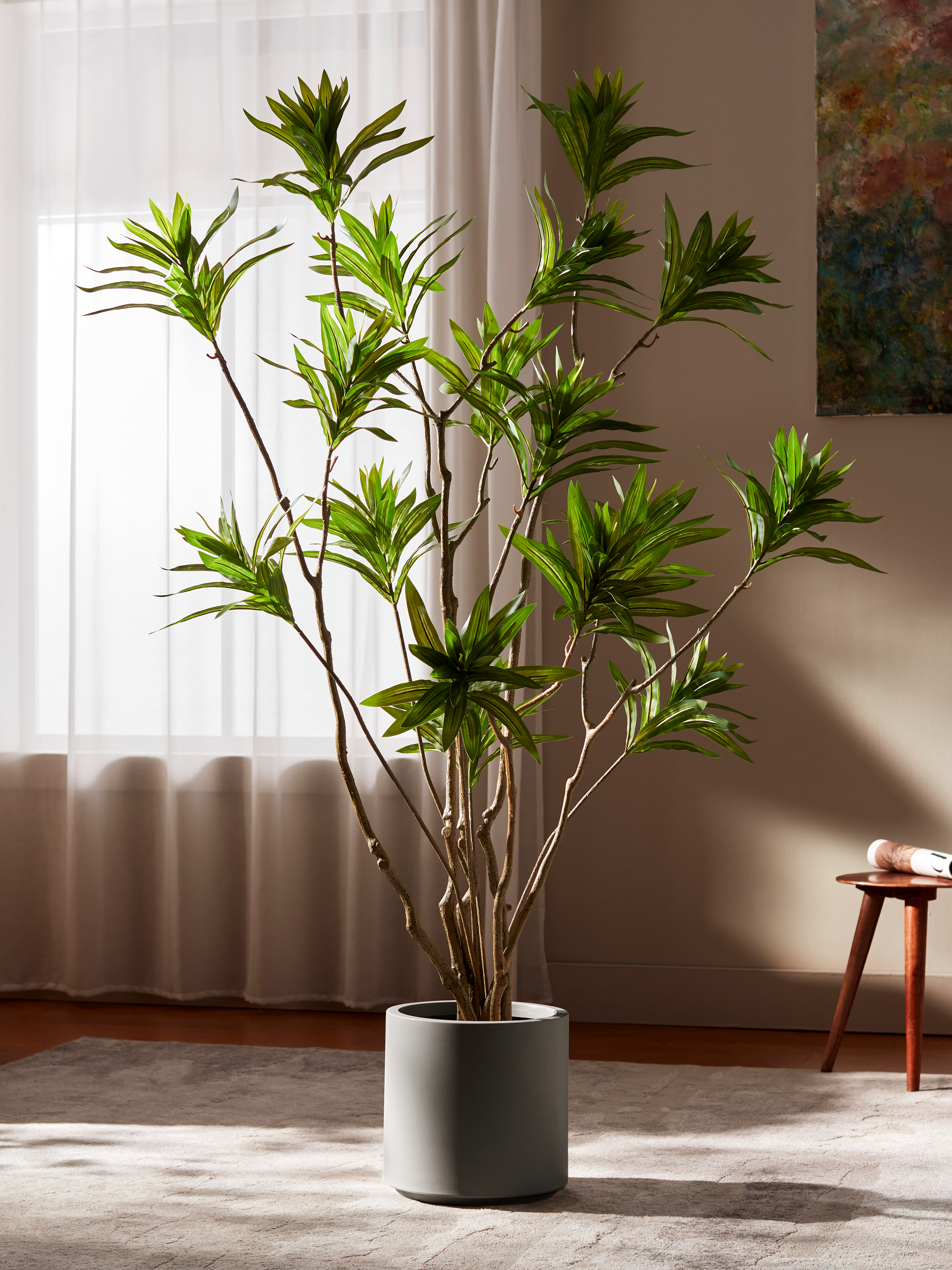 Chic Reflexa Tree for Modern Rooms with Arching Leaves