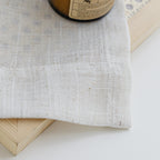Delphine Semi-Sheer Linen Blend Curtains, Set of 2