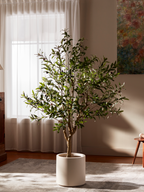 Ravellora Rustic Olive Tree