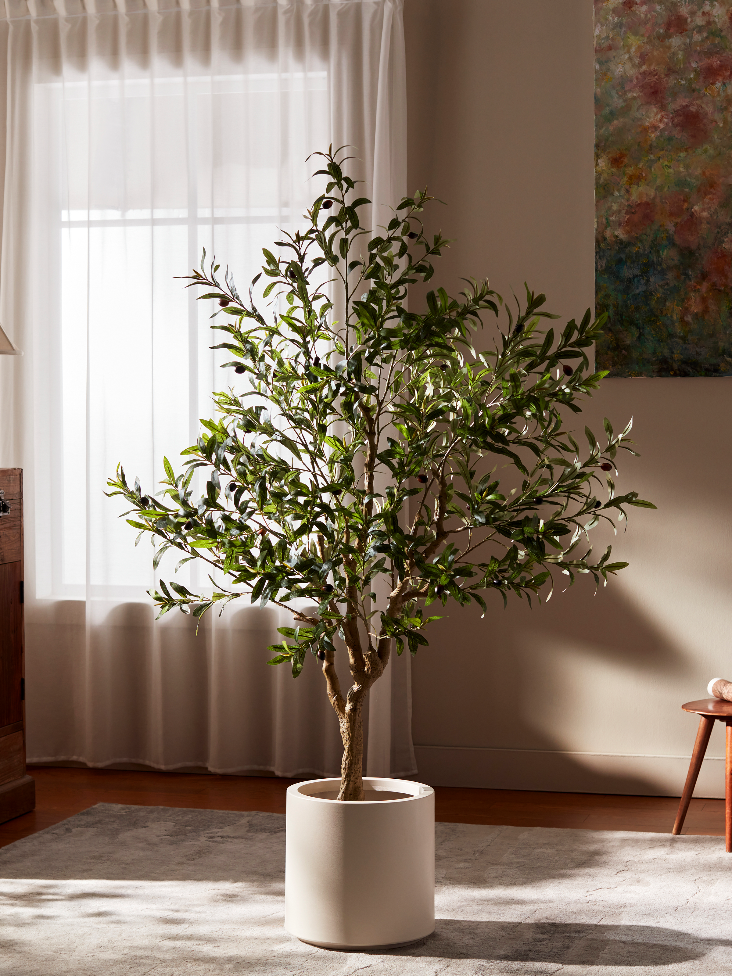 Ravellora Rustic Olive Tree