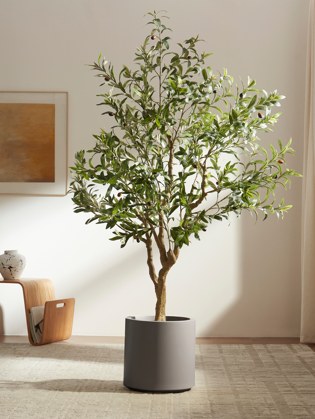 Ravellora Rustic Olive Tree