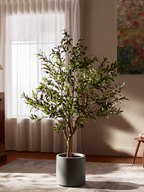 Ravellora Rustic Olive Tree