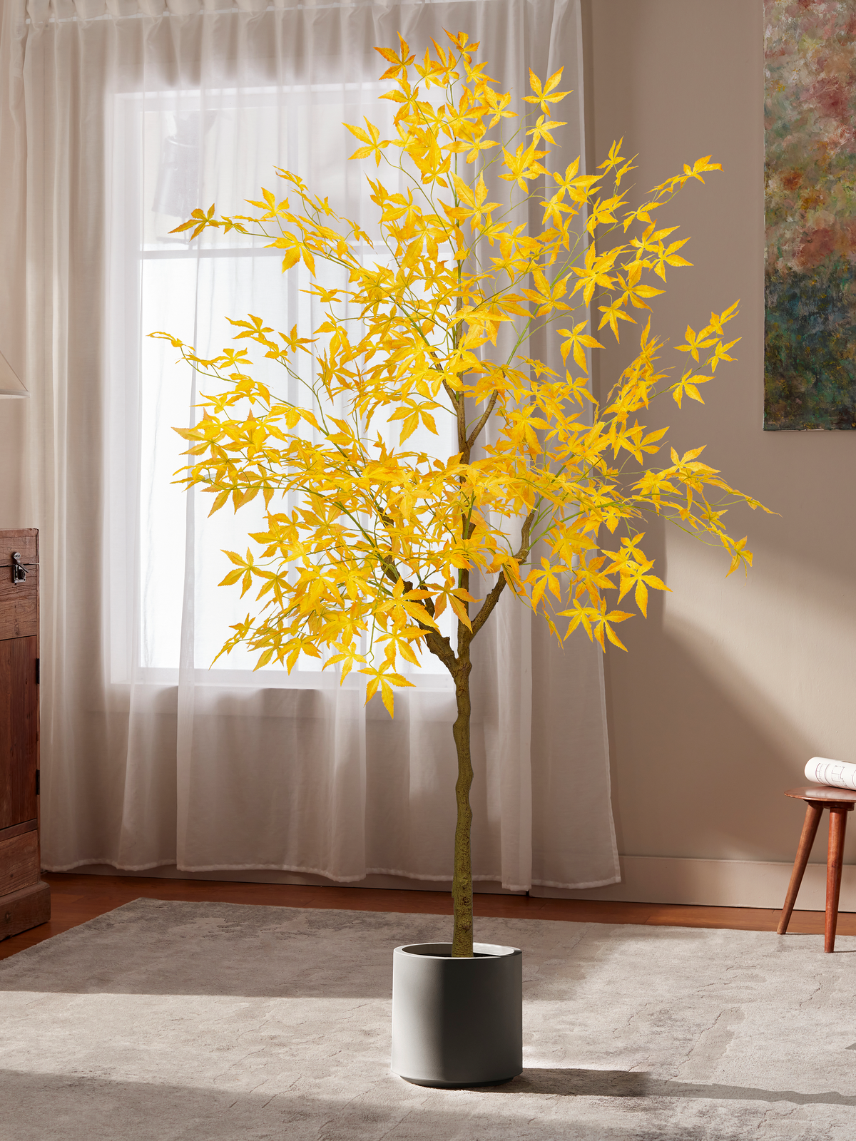 Warm Heritage Maple Tree for Offices with Fine Leaves