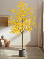 Warm Heritage Maple Tree for Offices with Fine Leaves