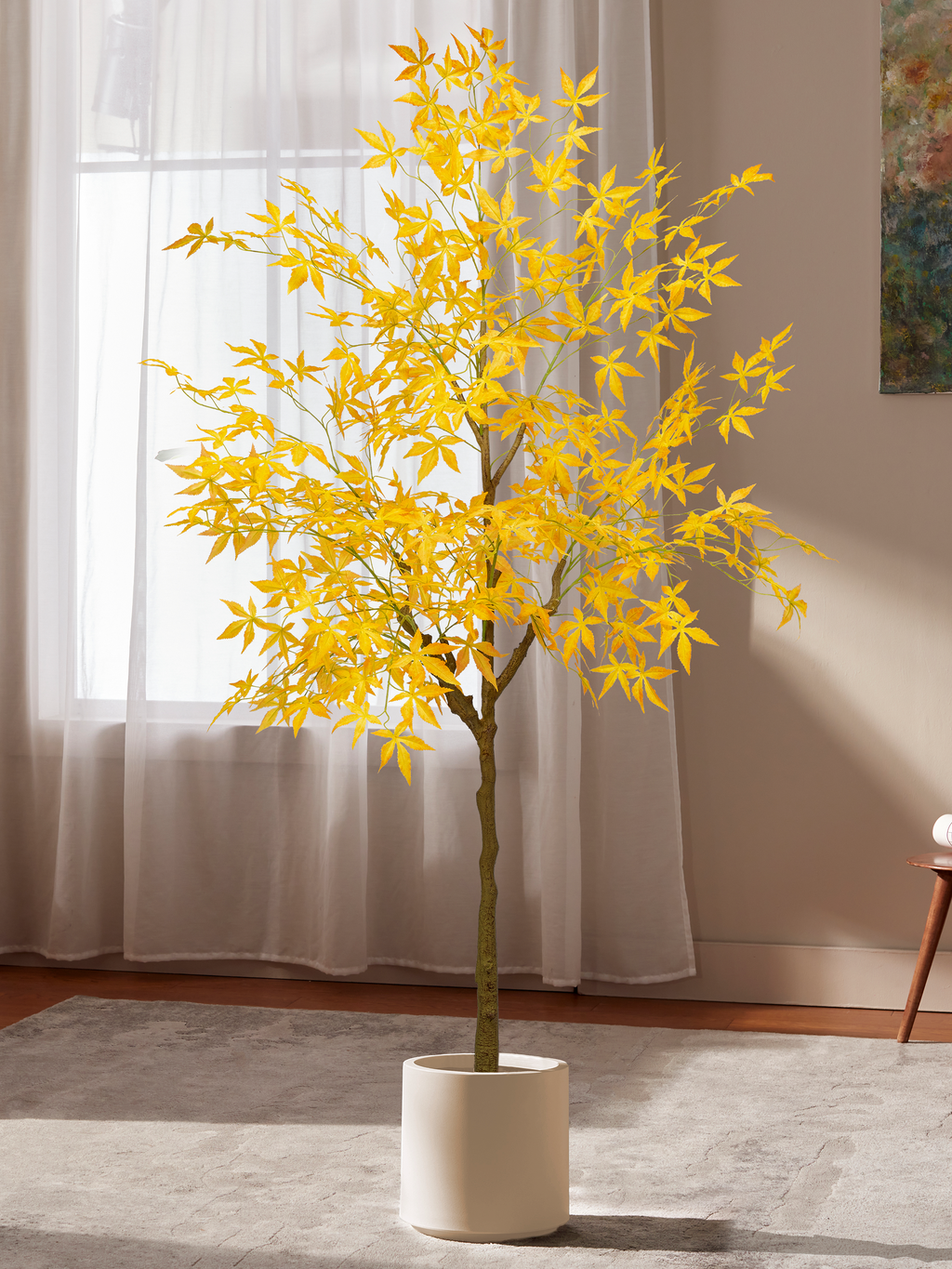 Warm Heritage Maple Tree for Offices with Fine Leaves
