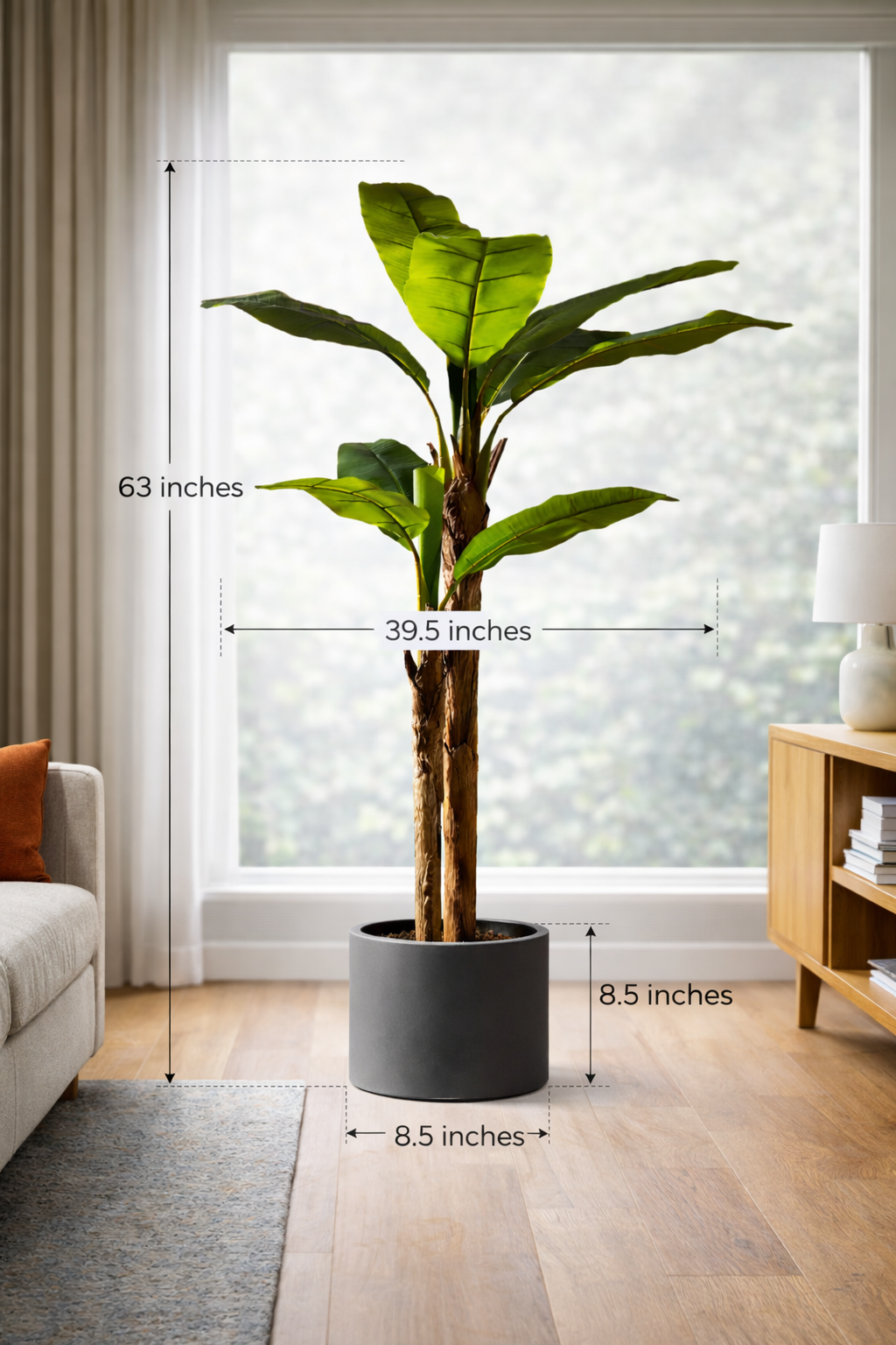 Bold Banana Tree for Sunlit Lofts with Huge Leaves