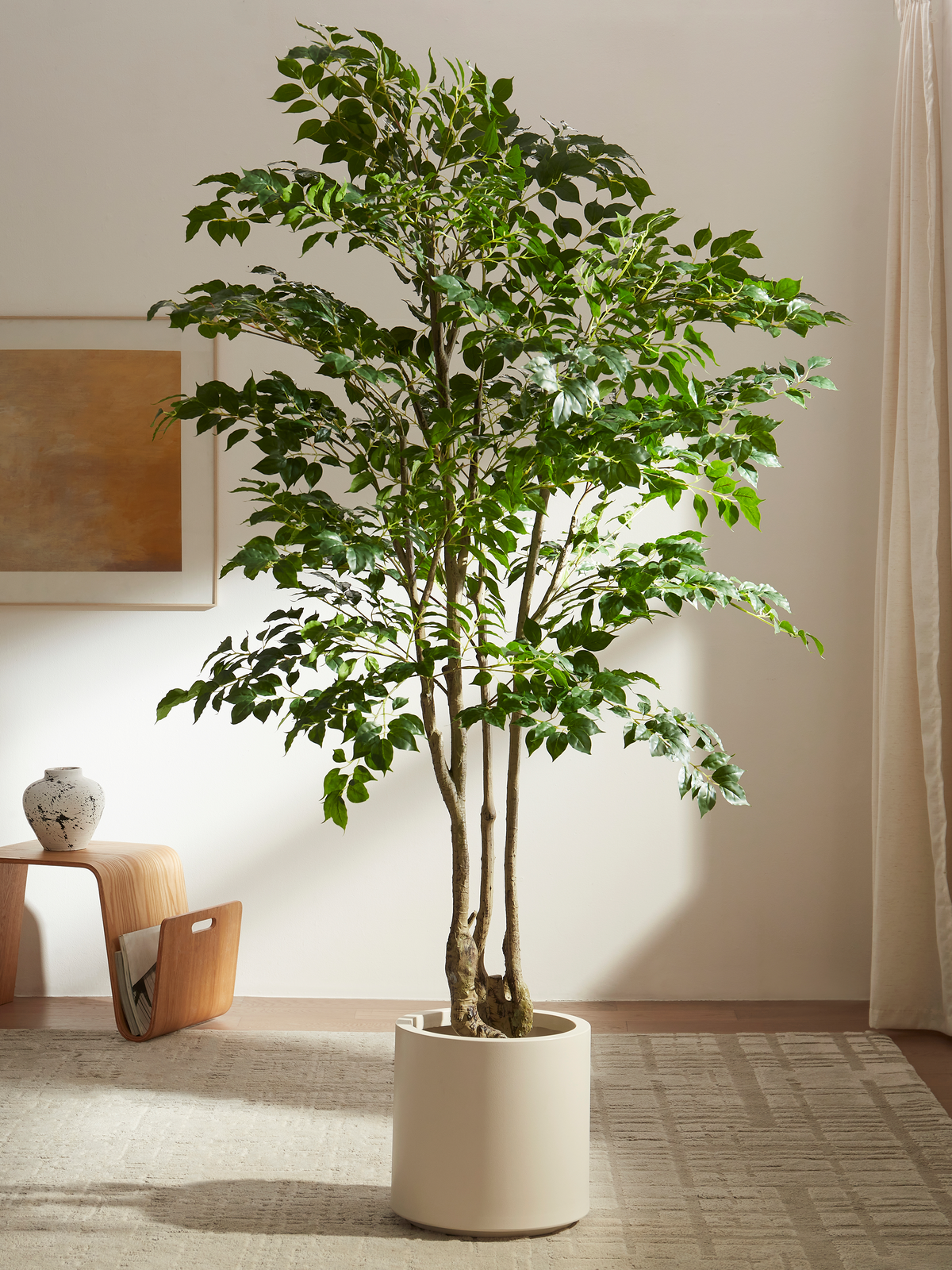 Grand Banyan Tree