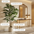 Grand Banyan Tree