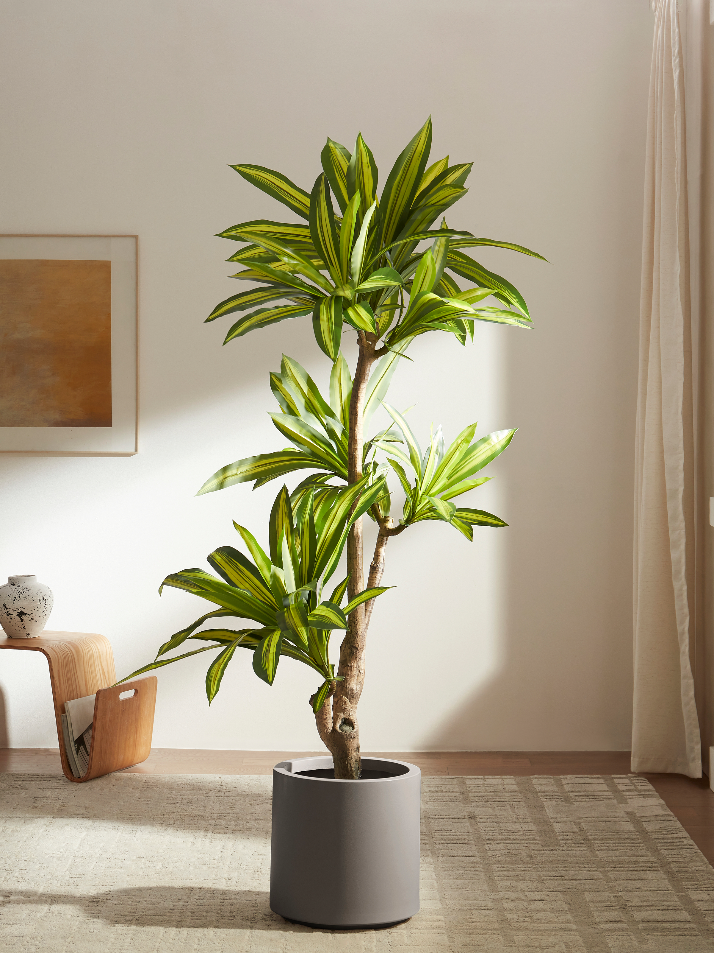 Sculptural Ironwood Tree