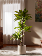 Sculptural Ironwood Tree