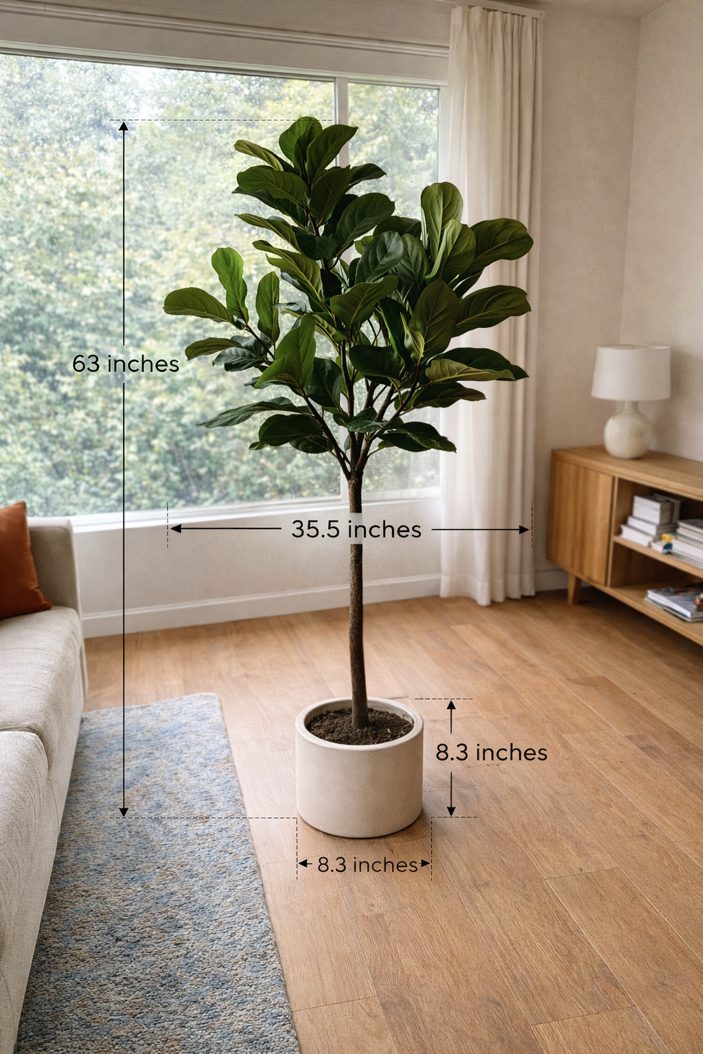 Ravellora Fiddle Leaf Fig Tree