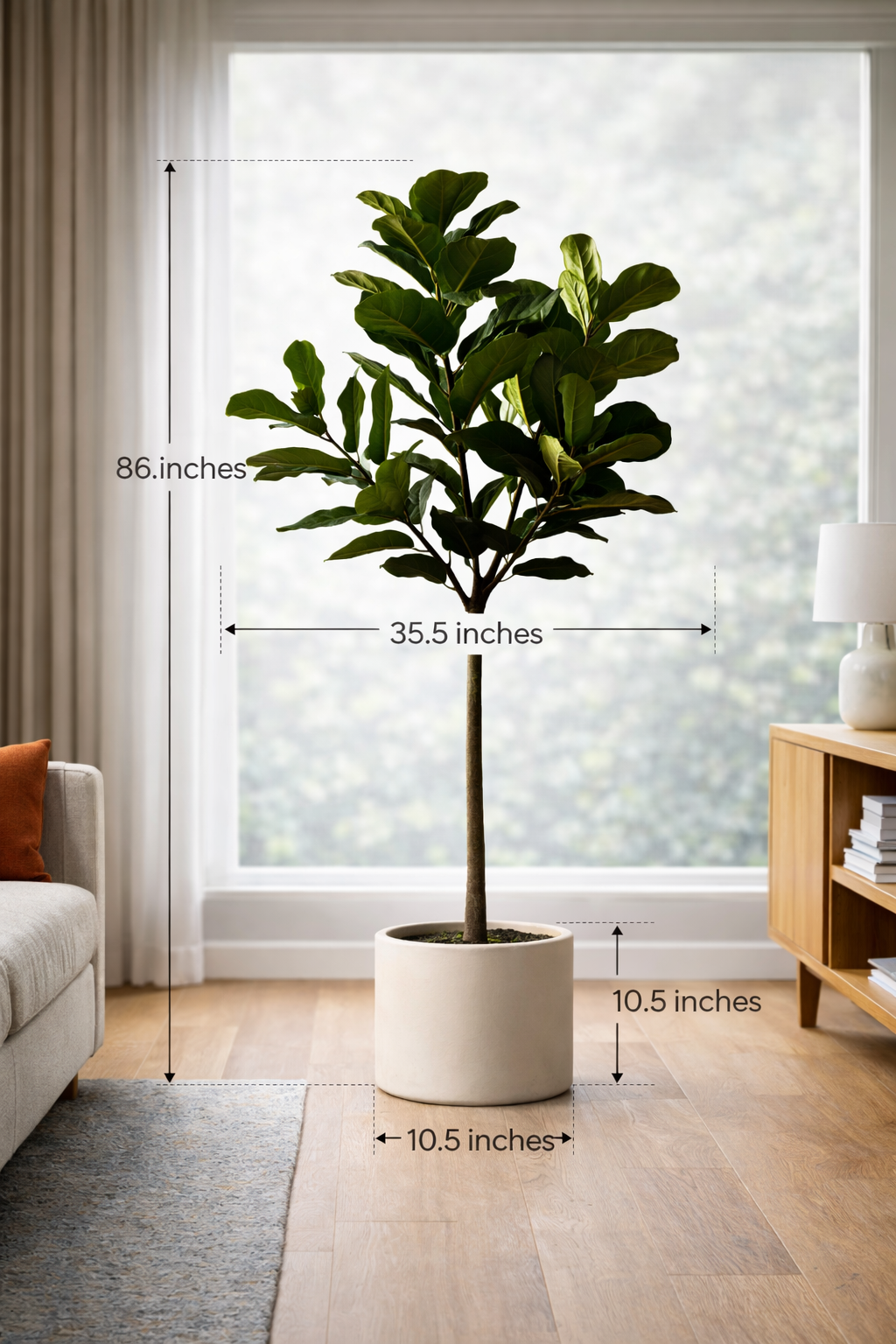 Ravellora Fiddle Leaf Fig Tree