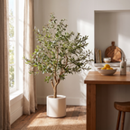 Rustic Olive Tree in a bright modern kitchen