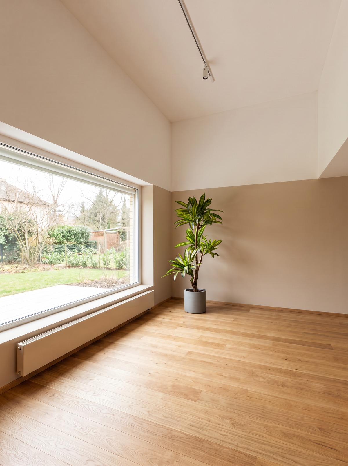 Sculptural Ironwood Tree placed after