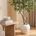 Adcock 8ft Artificial Ficus Tree luxury lifestyle detail vignette