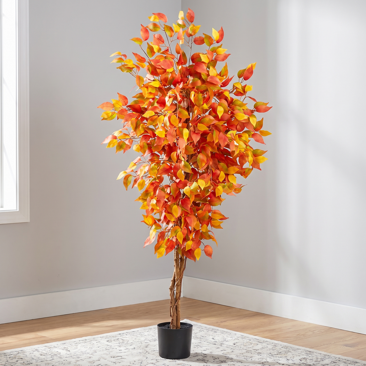 Fall Ficus Tree freestanding on its black base