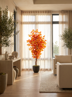 Fall Ficus Tree In Maple in a bright luxury sunroom
