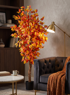 Fall Ficus Tree In Maple in an elegant reading nook