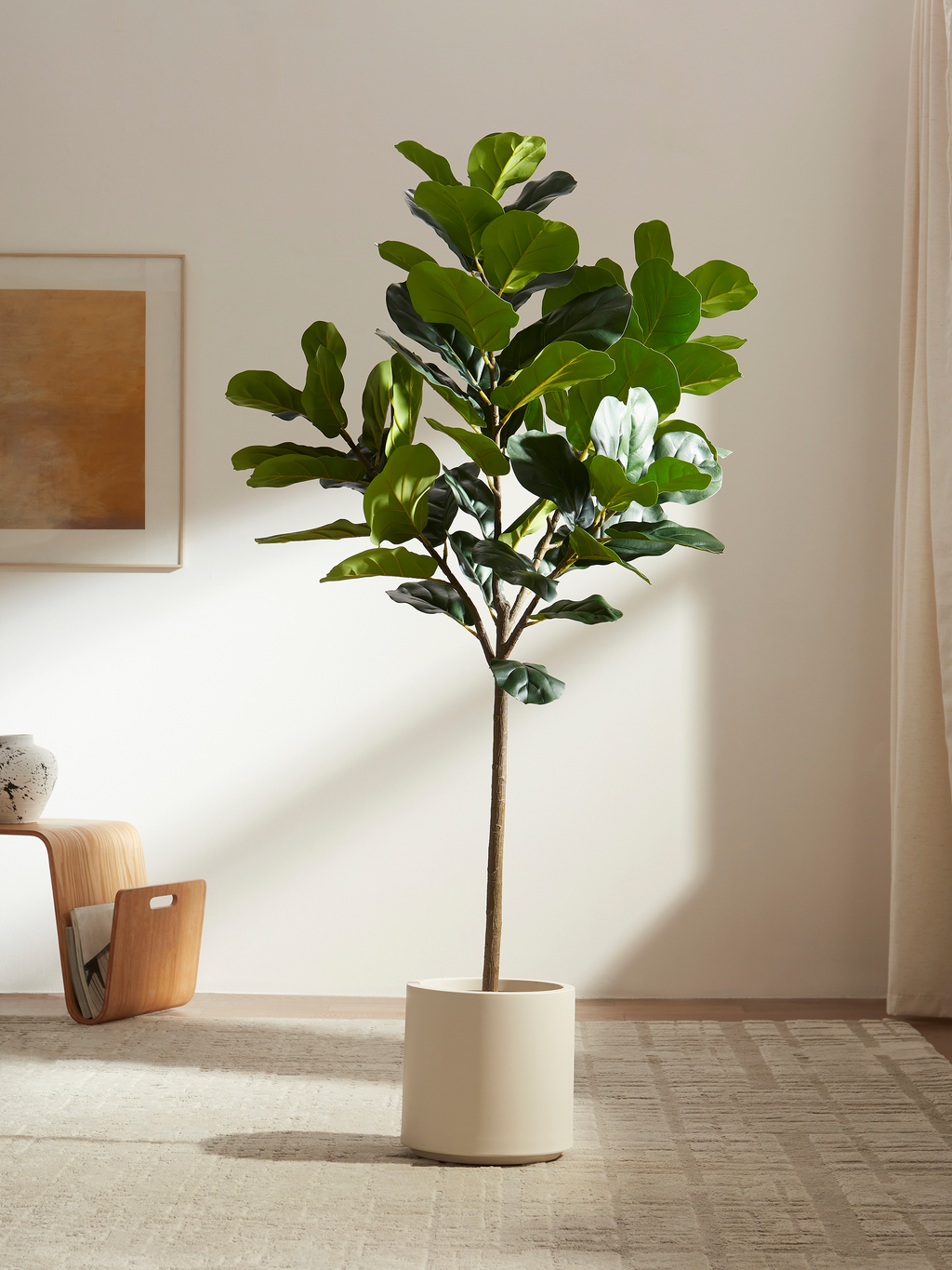 Ravellora Fiddle Leaf Fig Tree