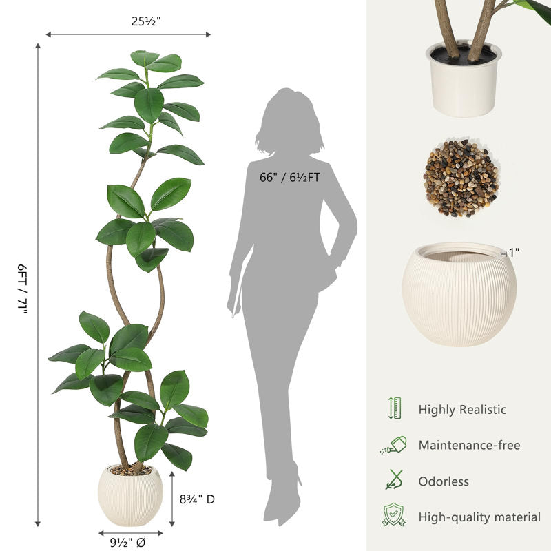 Artificial Rubber Tree with Dual Stems in Beige Planter - 6 Ft/180cm Tall Faux Plant with Green Leaves