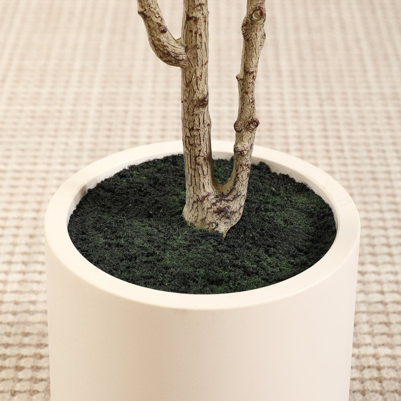 Altman Faux Olive Tree with White Planter