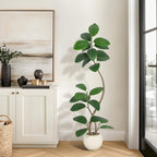 Artificial Rubber Tree with Dual Stems in Beige Planter - 6 Ft/180cm Tall Faux Plant with Green Leaves