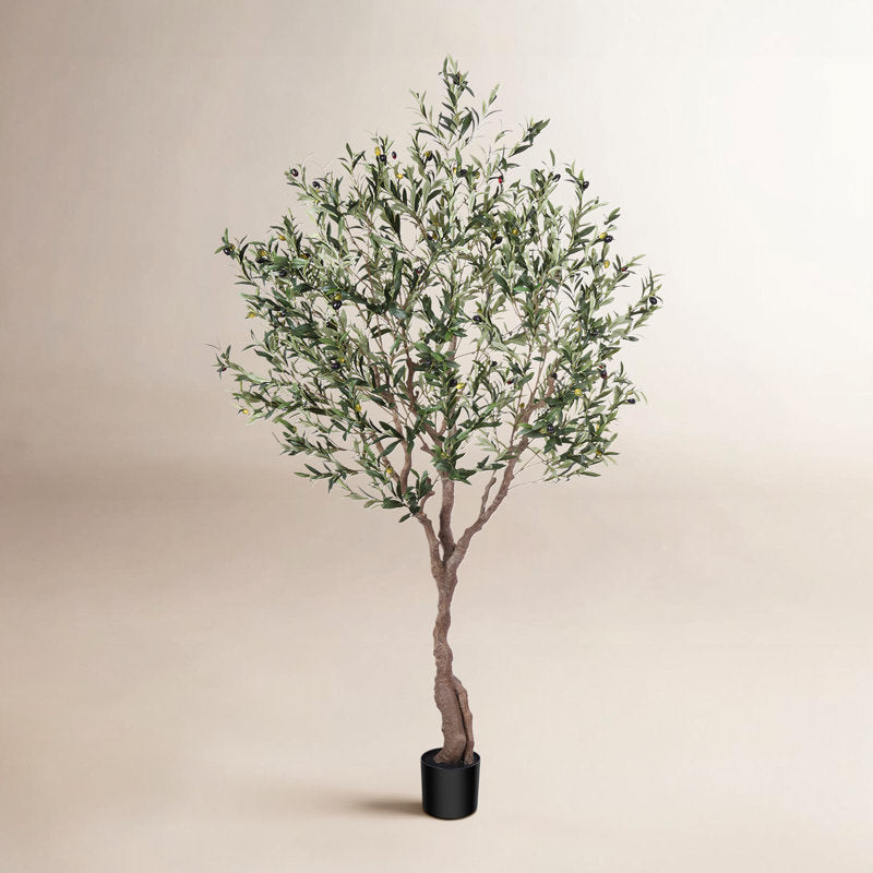 Adcock 8' H Artificial Ficus Tree in 18" White Planter