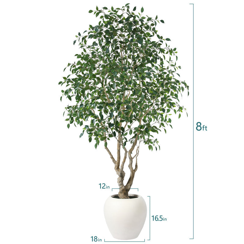 Adcock 8' H Artificial Ficus Tree in 18" White Planter