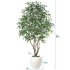 Adcock 8' H Artificial Ficus Tree in 18" White Planter