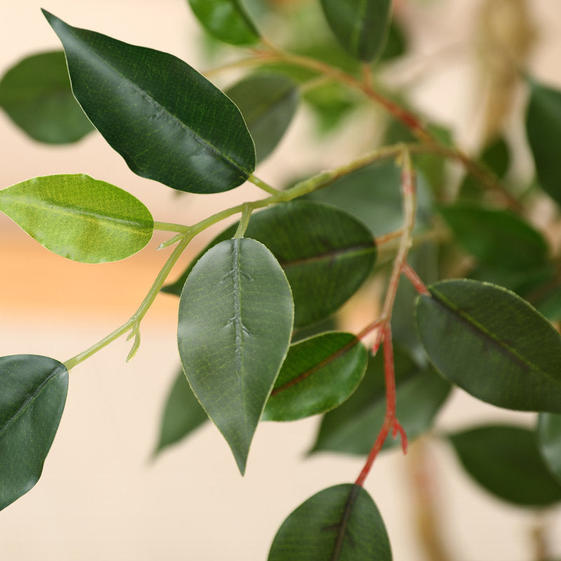 Adcock 8' H Artificial Ficus Tree in 18" White Planter