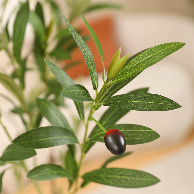 Altman Faux Olive Tree with White Planter