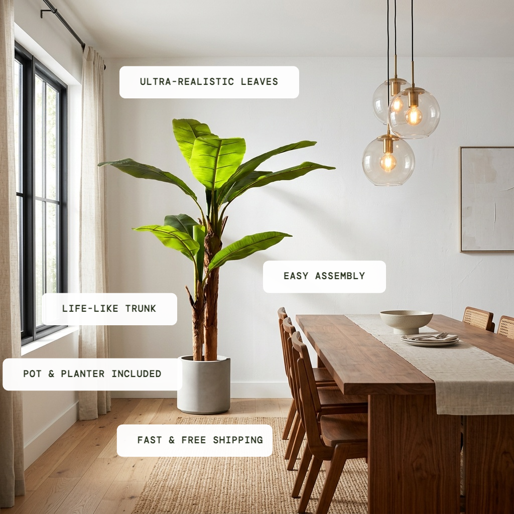 Bold Banana Tree for Sunlit Lofts with Huge Leaves