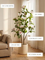 Elegant Magnolia Tree for Dining Rooms with Lush Leaves