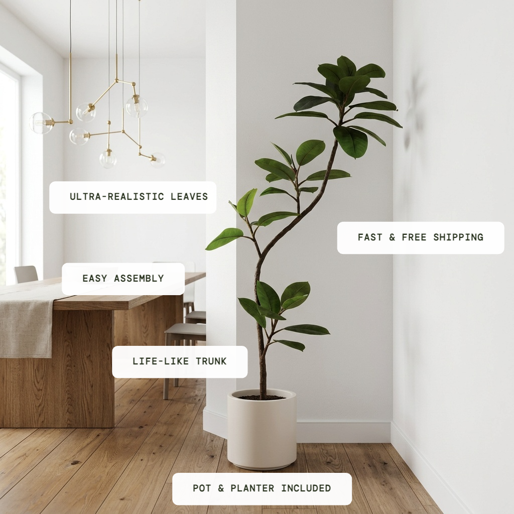Serene Ficus Tree