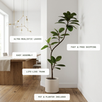 Serene Ficus Tree