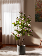 Elegant Magnolia Tree for Dining Rooms with Lush Leaves