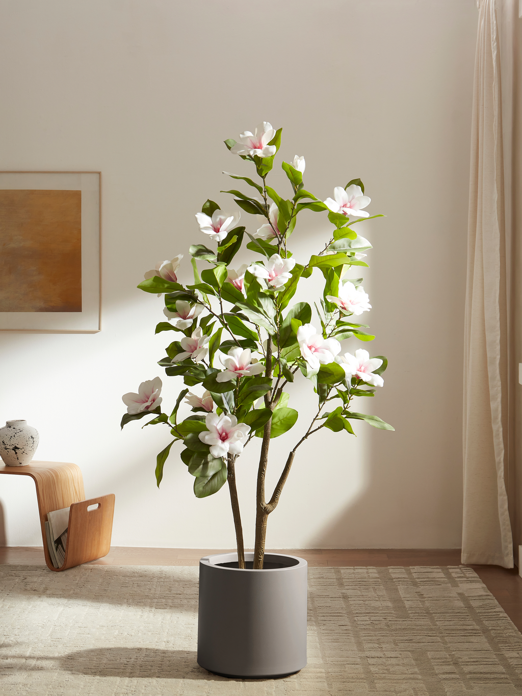 Elegant Magnolia Tree for Dining Rooms with Lush Leaves