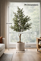 Ravellora Rustic Olive Tree