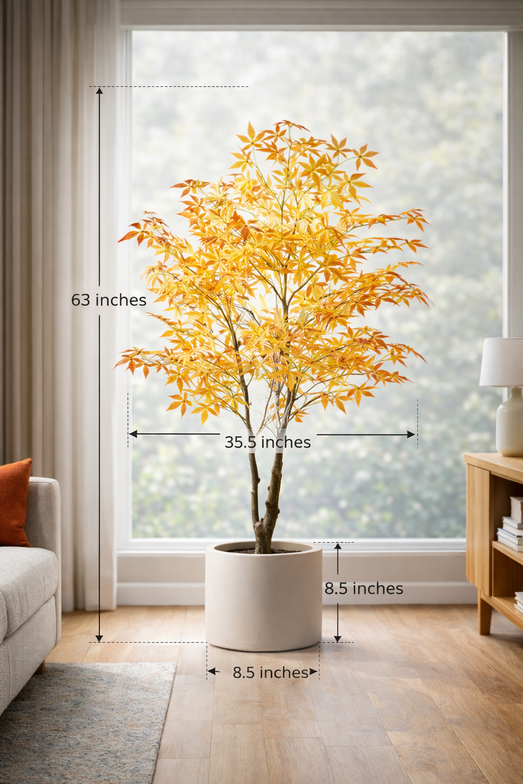 Warm Heritage Maple Tree for Offices with Fine Leaves