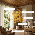 Warm Heritage Maple Tree for Offices with Fine Leaves